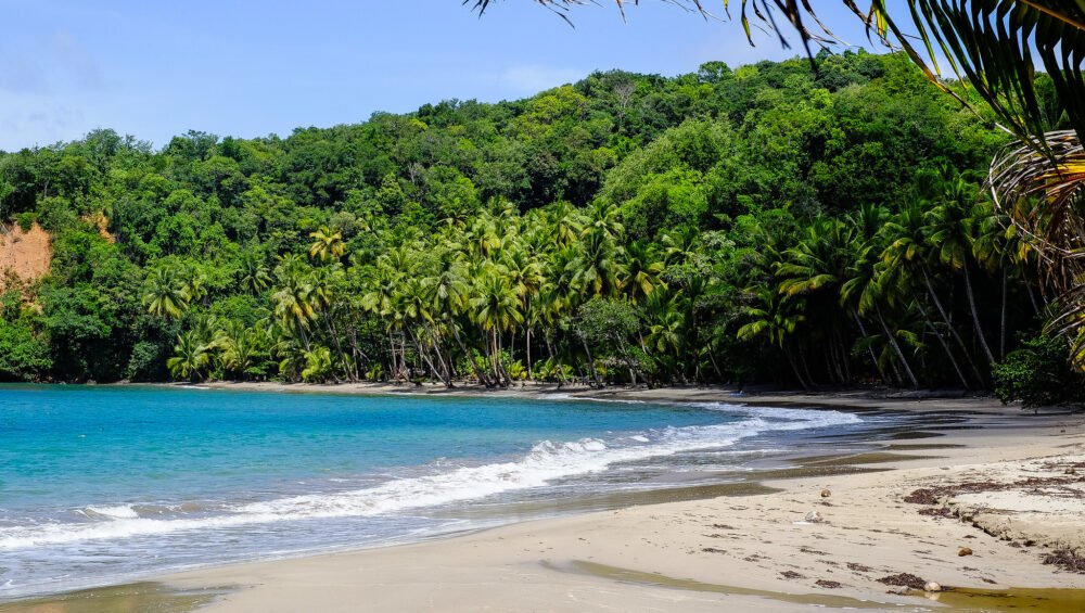 Beautiful beach in Dominica