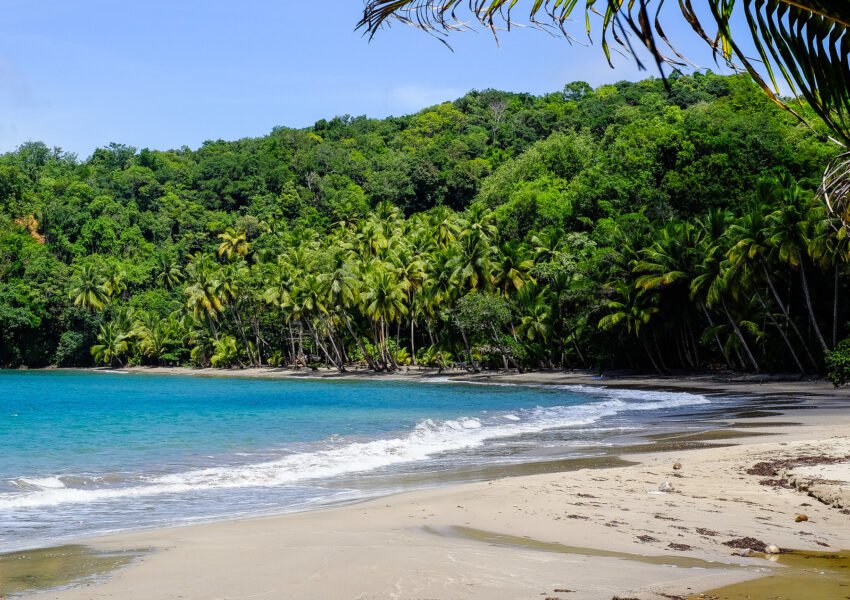 Beautiful beach in Dominica